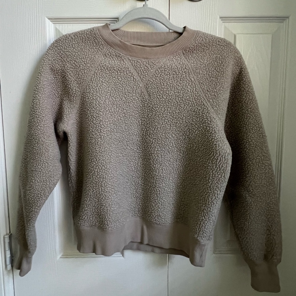Everlane Women's Crew Neck Sweater - Tan